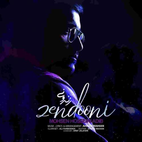 محسن حسینی ادیب زندونی